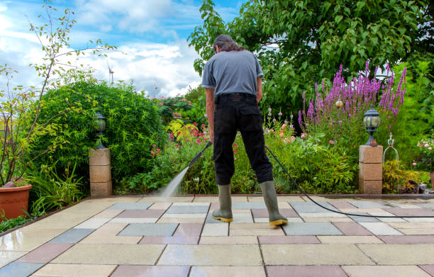 Trusted Avra Valley, AZ Pressure Washing Services Experts