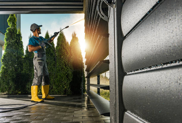 Animal Enclosure Cleaning in Avra Valley, AZ